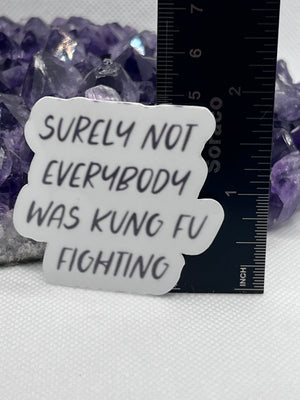 “Surely not everybody was kung fu fighting” Vinyl Sticker