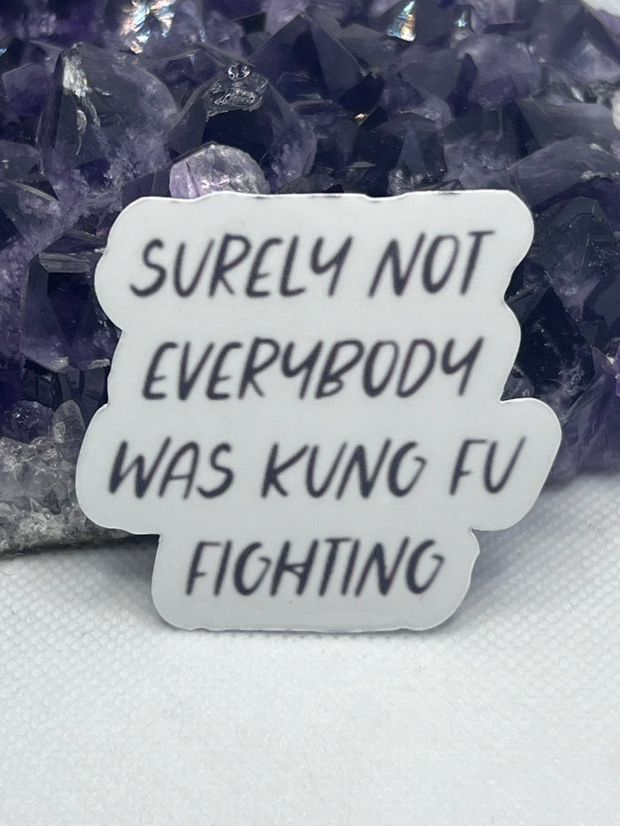 “Surely not everybody was kung fu fighting” Vinyl Sticker