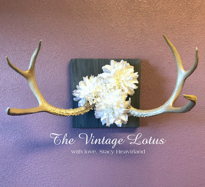 Champagne Antlers Decor/Jewelry Rack