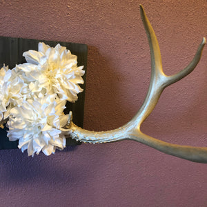 Champagne Antlers Decor/Jewelry Rack