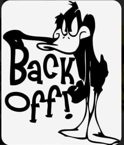 Vinyl Decal